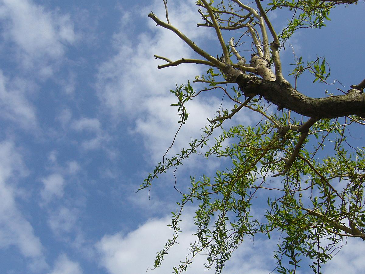 Krhová u Valašského Meziříčí